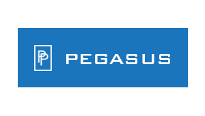 Pegasus Products Logo